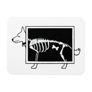 Hunde X-Ray Magnet