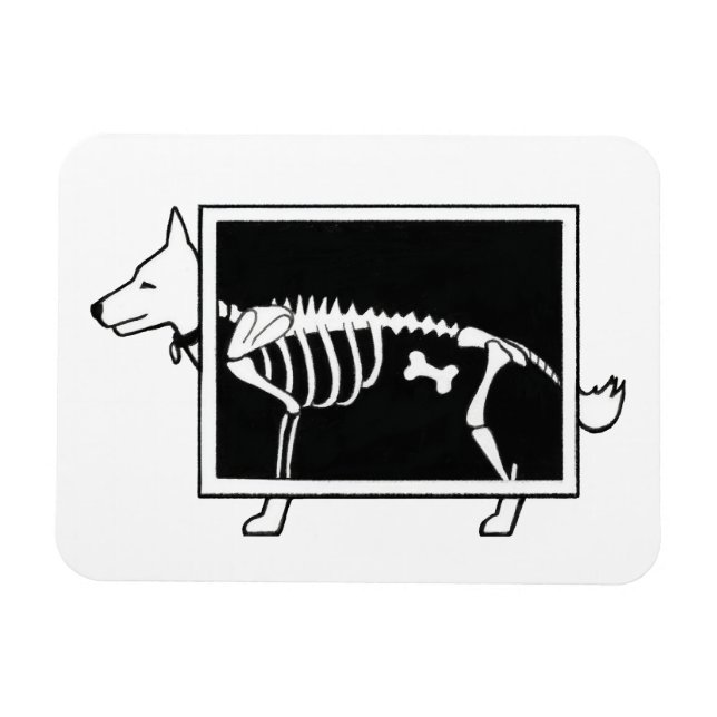 Hunde X-Ray Magnet (Horizontal)