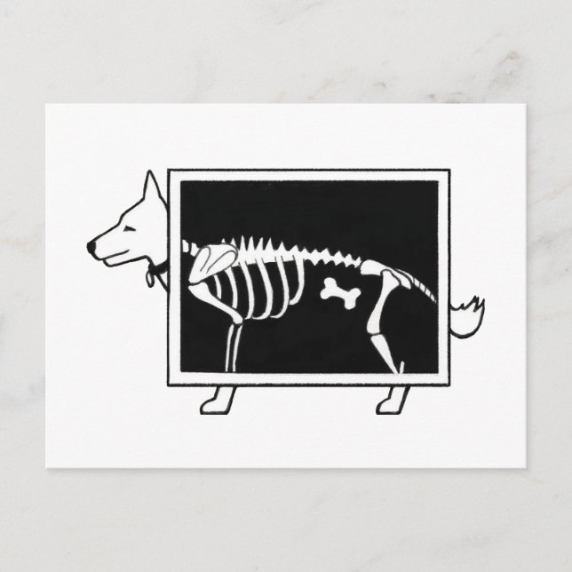 Hunde X-Ray Postkarte (Vorderseite)