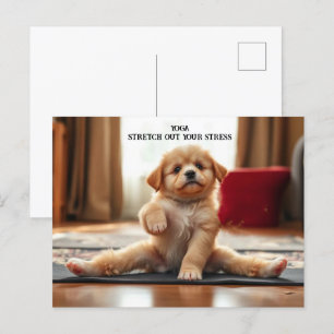 Hunde Yoga Postkarte