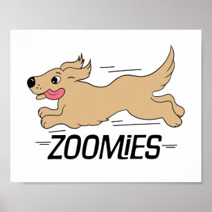 Hunde Zoomies Poster