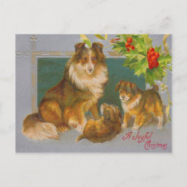 Hunde zu Weihnachten