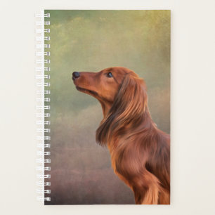 Hunde züchten Dackel Planer