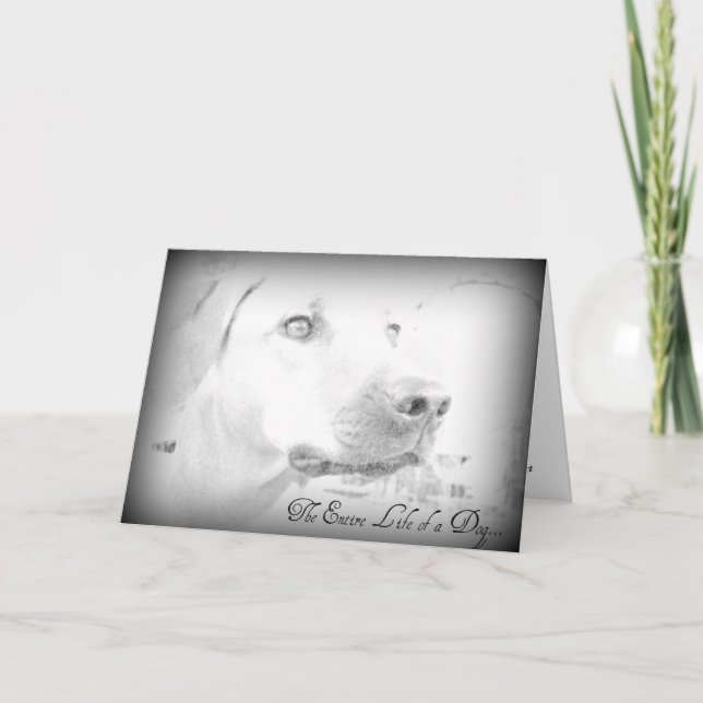 Hundeausfallkarte Karte (Vorderseite)