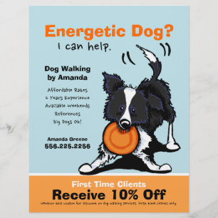 Hundeausführer Hunde Spaziergang Gutschein Border Flyer