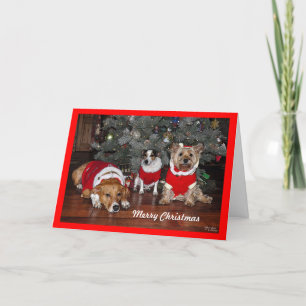 Hundebarte Feiertagskarte