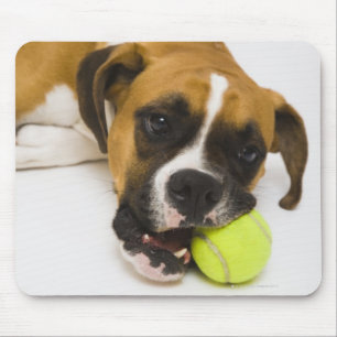 Hundebeißender Tennisball Mousepad