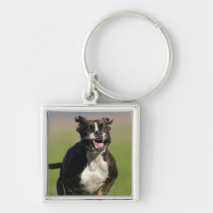 Hundebetrieb Schlüsselanhänger