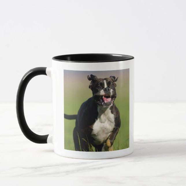 Hundebetrieb Tasse (Links)