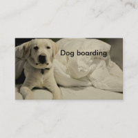 HundeBoarding/-hundehütte
