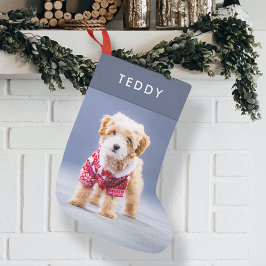 Hundebontage | Modernes Niedliches Blue Pet Foto K Kleiner Weihnachtsstrumpf