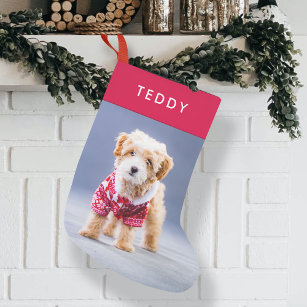 Hundebontage   Modernes Niedliches Red Pet Foto Kleiner Weihnachtsstrumpf