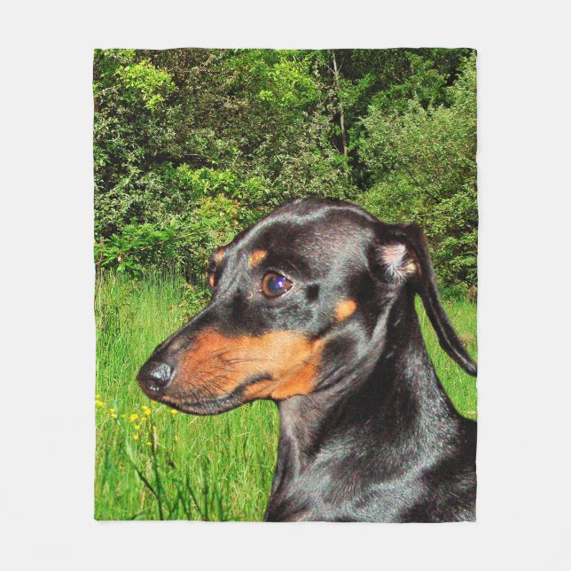 HundeDackel-Dackel Fleecedecke (Vorderseite)