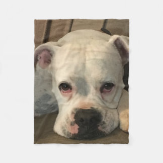 Hundedecke Fleecedecke