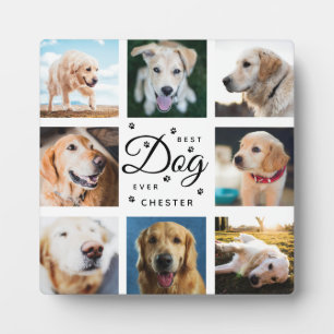 Hundedenken-Geschenk Bester Hund Aller Zeiten Mode Fotoplatte