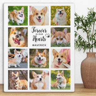Hundedenkenmal Für Immer In Unseren Herzen Fotocol Fotoplatte