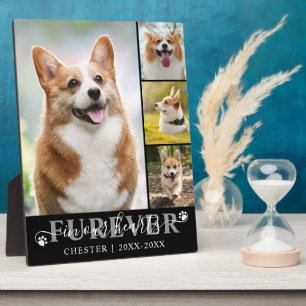 Hundedenkmal 4 Foto FÜR IMMER IN UNSEREN HERZEN Fotoplatte