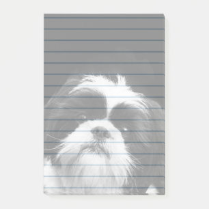 Hundeder post-itanmerkungen 4X6 Shih Tzu Auflage Post-it Klebezettel