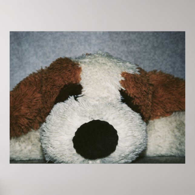 Hundedruck Poster (Vorne)