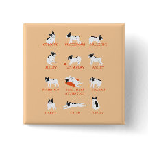 Hundeemotion 