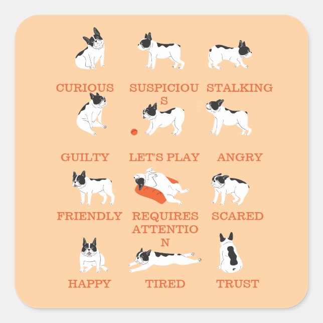 Hundeemotion  quadratischer aufkleber (Vorderseite)