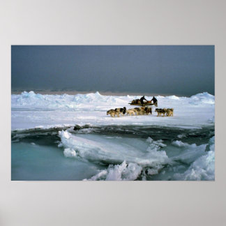 Hundefahrt auf Eis, Ellesmere Island, Northwest Te Poster