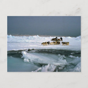 Hundefahrt auf Eis, Ellesmere Island, Northwest Te Postkarte