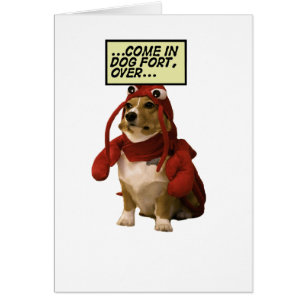 Hundefort-T - Shirt