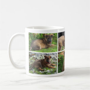 HundeFoto-Collagen-Tasse Tasse