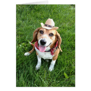 HundeFoto-Karte - Annie Oakley