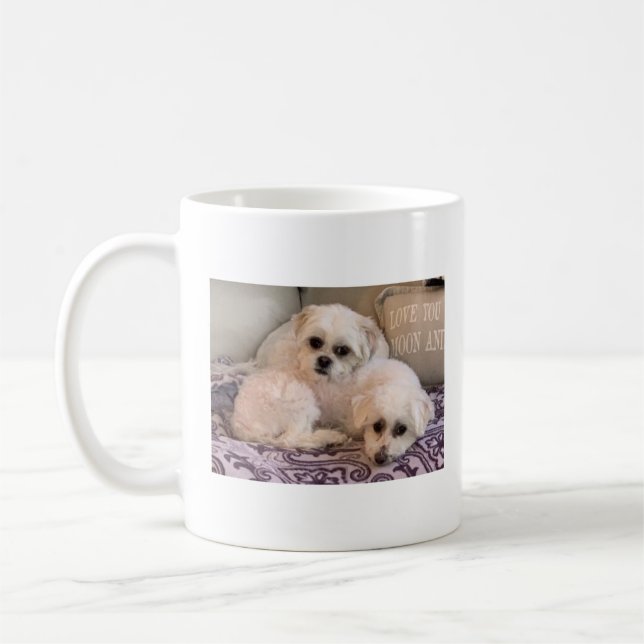 HundeFoto-niedliches maltesisches und Shih Tzu Kaffeetasse (Links)