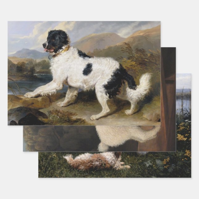 Hundefreunde (Hunde und Hunde) Auswahl Geschenkpapier Set (Set)