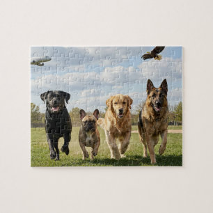 Hundefreunde Puzzle