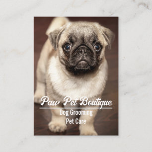 Hundefriseur Haustierpflege Welpenausführer Visitenkarte