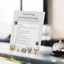 Hundefrisör für ältere Hunde Tierpflege für ältere