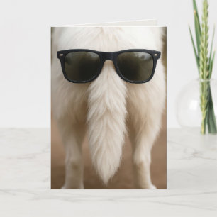 Hundegeburtstagsschwanz mit Sonnenbrille  Karte