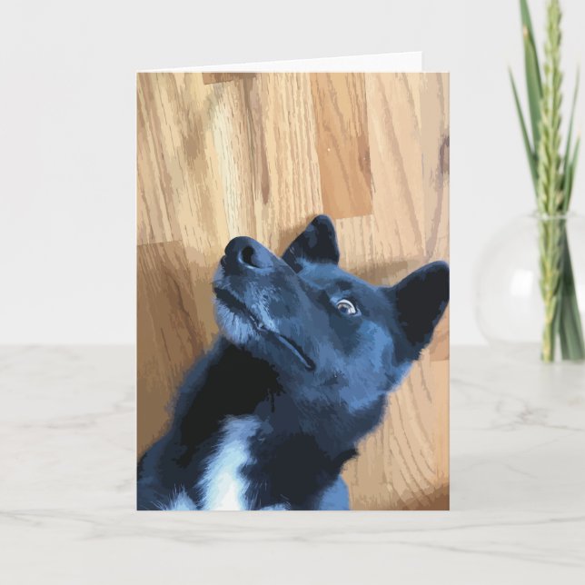 Hundegefühl, schwarz und weiß karte (Vorderseite)