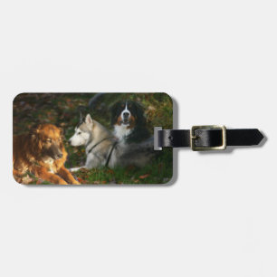HundeGepäckanhänger Gepäckanhänger