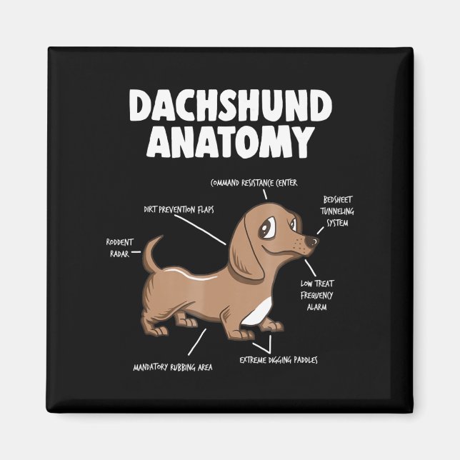 Hundegeschenk | Anatomie Dackel Funny Weiner Magnet (Vorne)