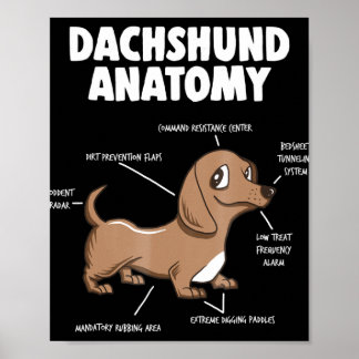 Hundegeschenk | Anatomie Dackel Funny Weiner Poster