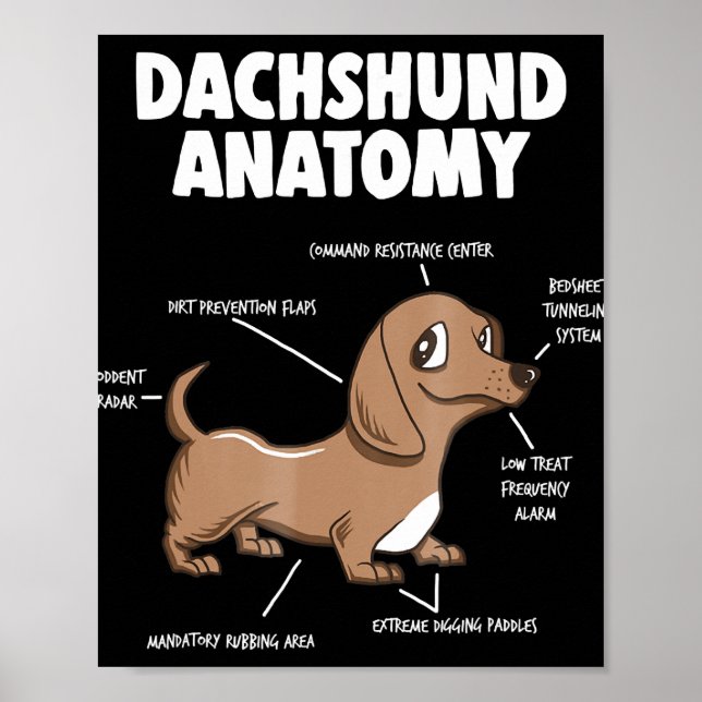 Hundegeschenk | Anatomie Dackel Funny Weiner Poster (Vorne)