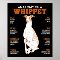 Hundegeschenk | Anatomie eines Peitschenhundes an
