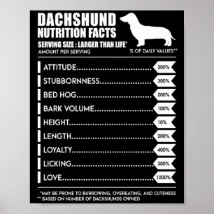 Hundegeschenk  Ernährungslage der Dackel Poster
