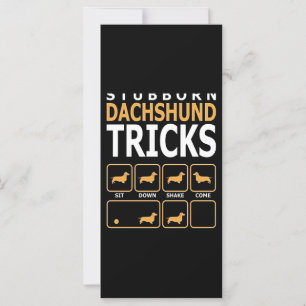 Hundegeschenk   Tricks für stubgeborene Dackeln