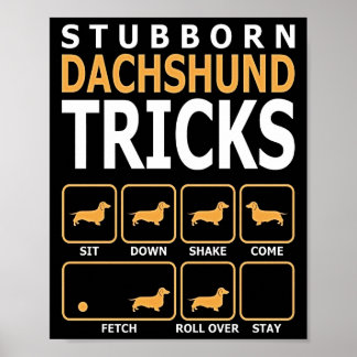 Hundegeschenk | Tricks für stubgeborene Dackeln Poster