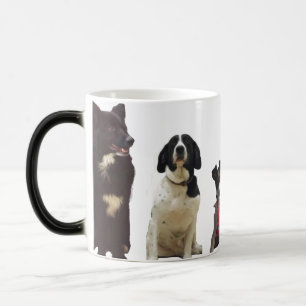 Hundehaustier-Tasse Verwandlungstasse