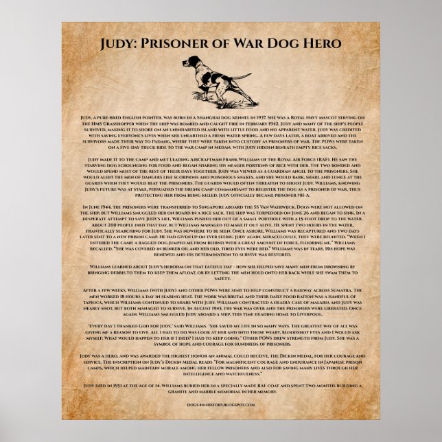Hundehero Inspiration im Zweiten Weltkrieg Poster (Vorne)