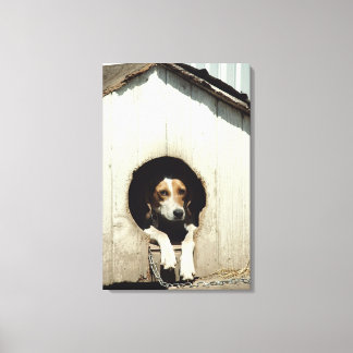 Hundehund im Hundehaus Leinwanddruck