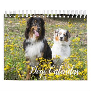 Hundekalender Kalender