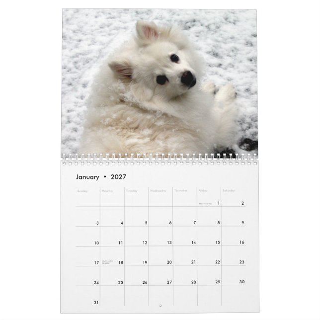 Hundekalender Kalender (Jan 2027)